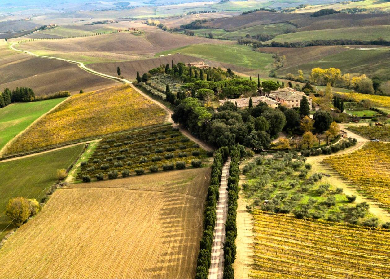 Villa Buonsignori - Wine & Olive Oil Farm Corsano  Buitenkant foto