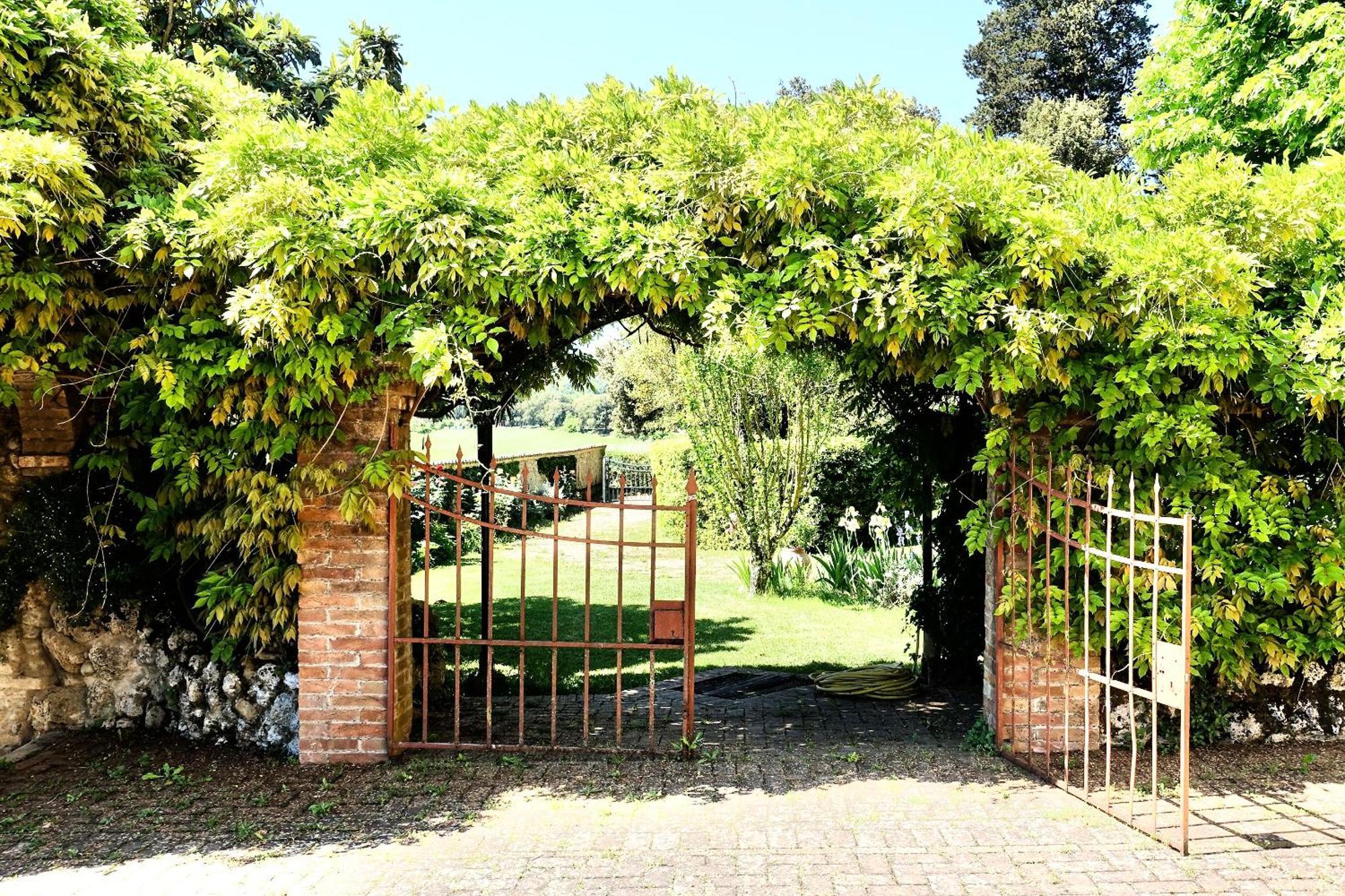 Villa Buonsignori - Wine & Olive Oil Farm Corsano  Buitenkant foto